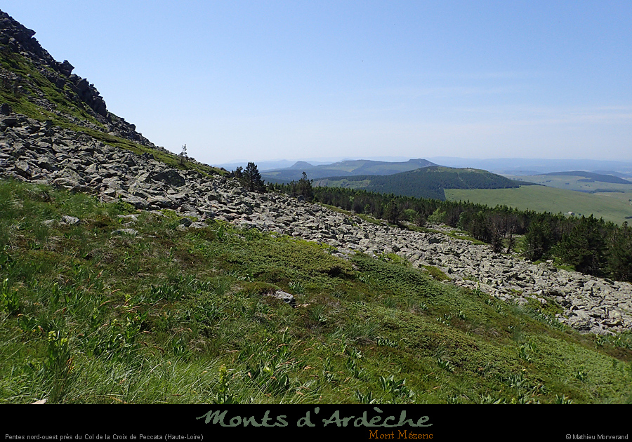 20170620_mtmezenc_pentesnw2