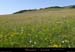 20170620_chaudeyrolles_pentesdescris