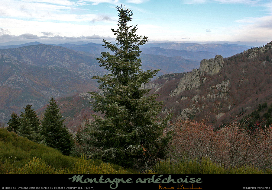 20041111_valleedelachavadedelaserredebauzon_1