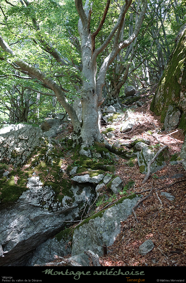 20200721_338