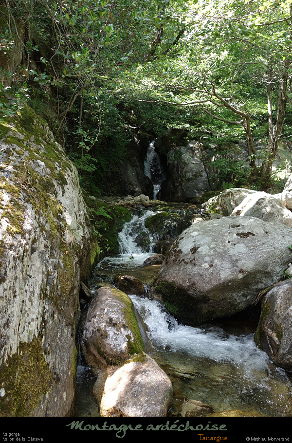 20200725_denavebasse02