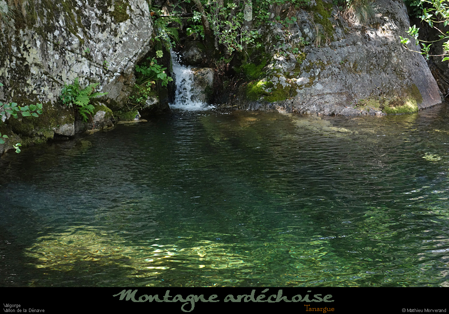 20200725_denavebasse03