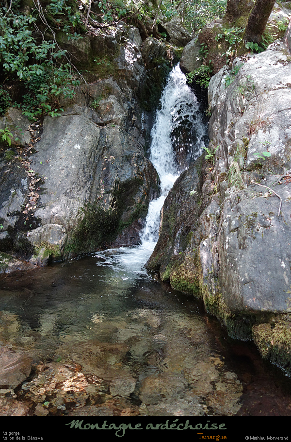 20200725_denavebasse05