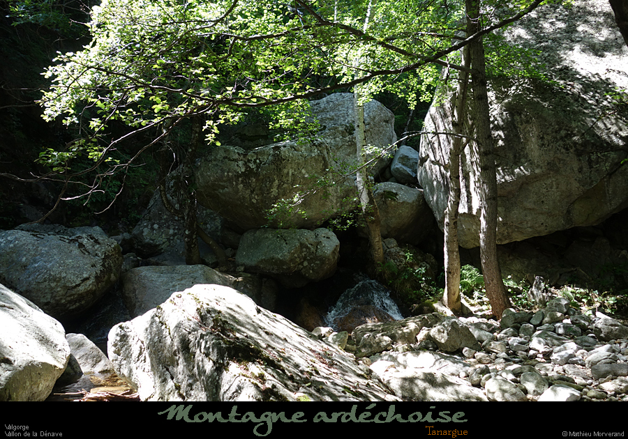 20200725_denavebasse12