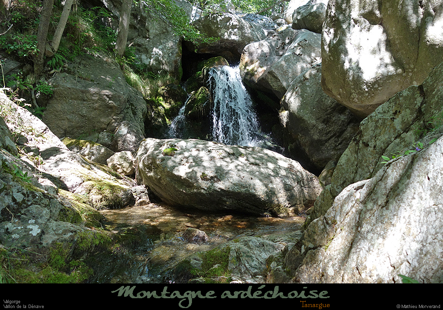 20200725_denavebasse32