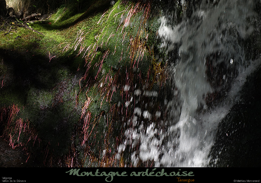 20200725_denavebasse37