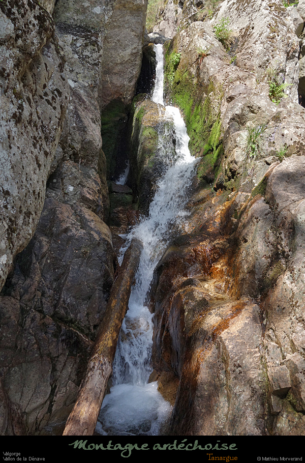 20200725_denavebasse39