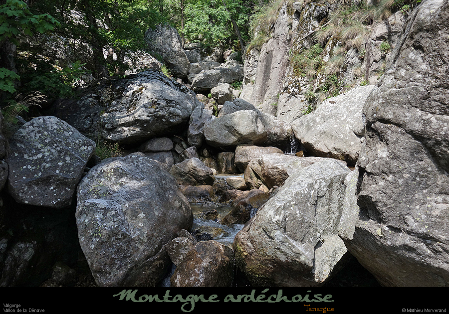 20200725_denavebasse41