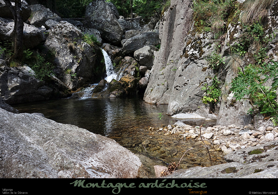 20200725_denavebasse43