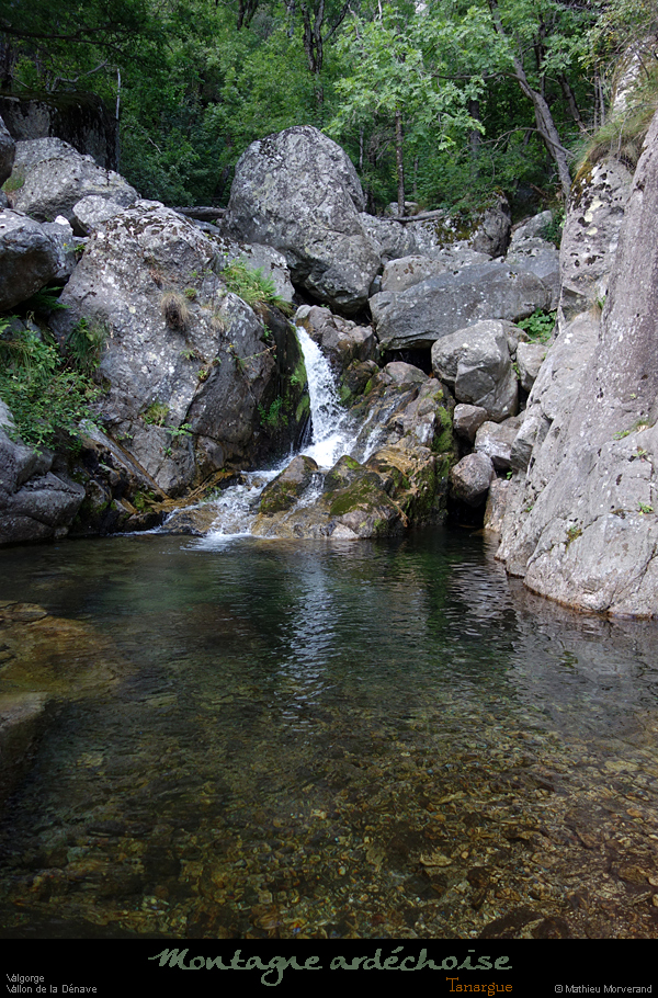 20200725_denavebasse45