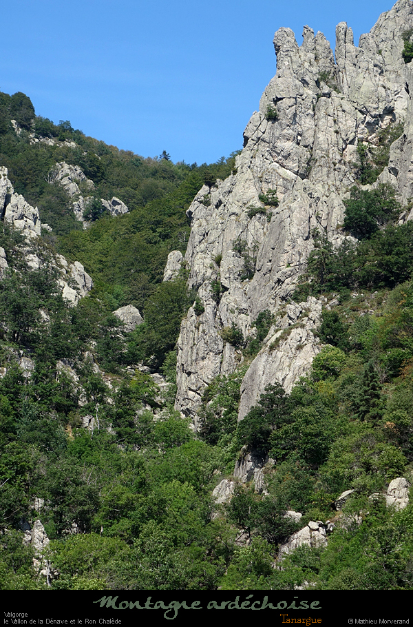 20200725_ronchalede05
