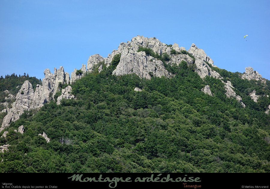 20200725_ronchalede06