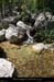 20200725_denavebasse11