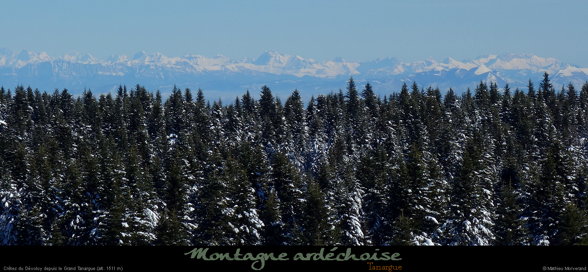 20180128_devoluydegrdtanargue
