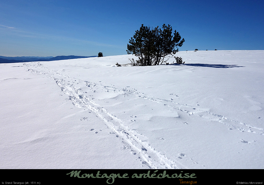 20180128_grdtarnargue1