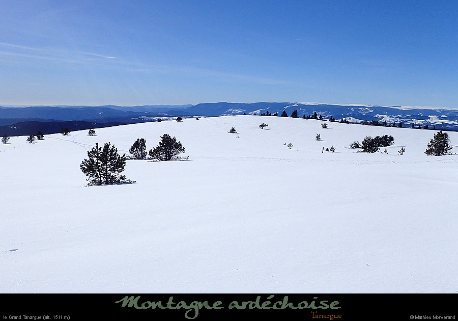 20180128_grdtarnargue2