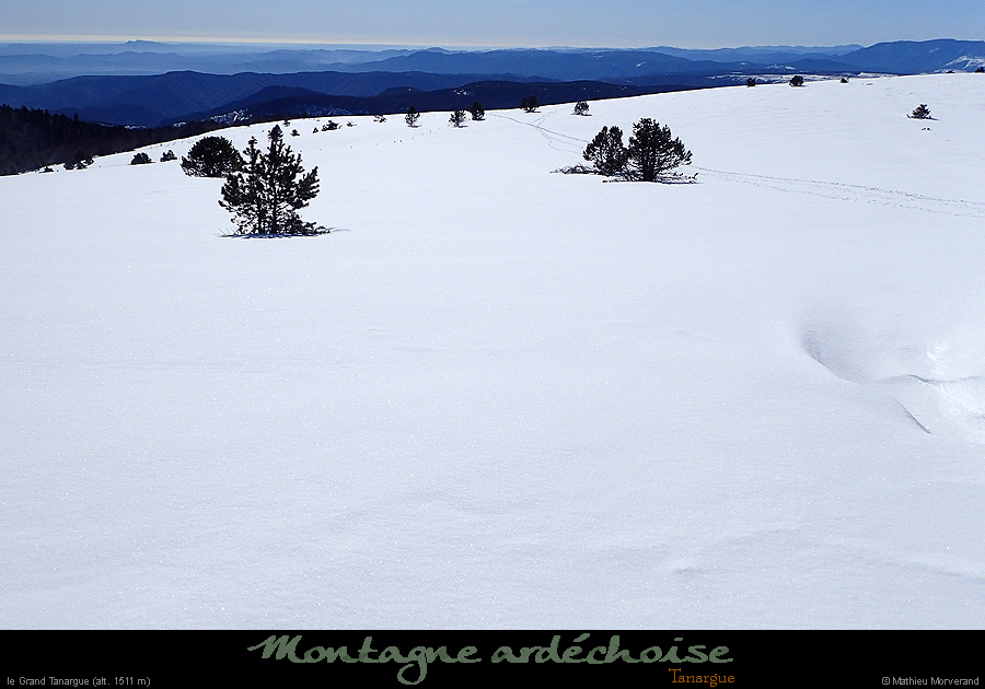 20180128_grdtarnargue3