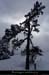 20170129_24