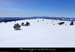 20180128_grdtarnargue2