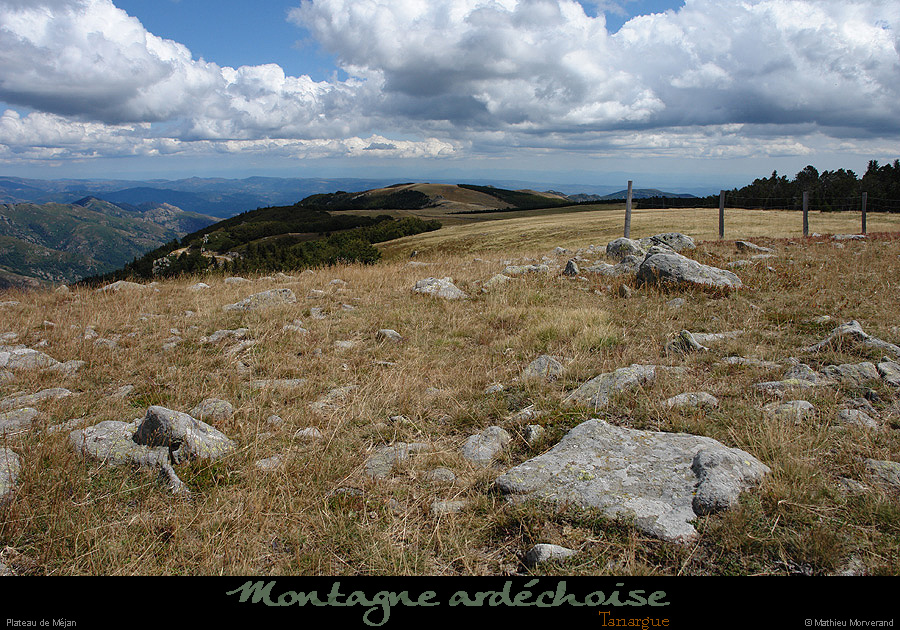 20070819_mejan