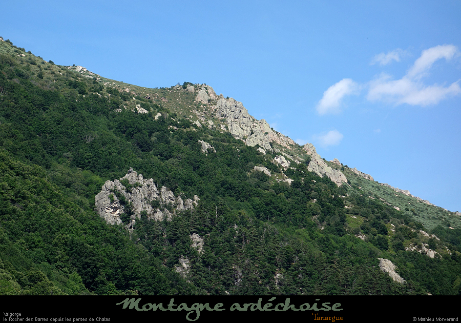 20200725_ronbarres