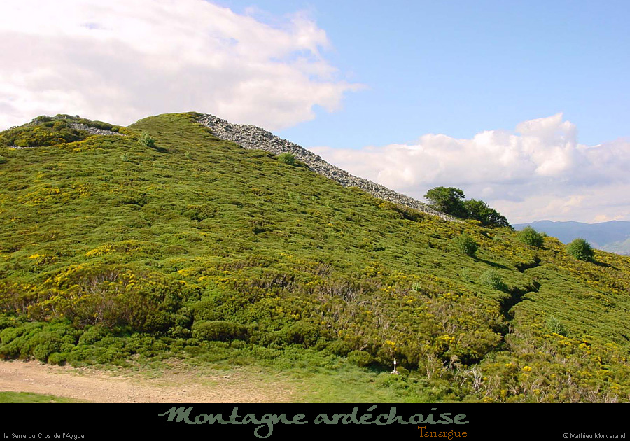 20010606_montaigu