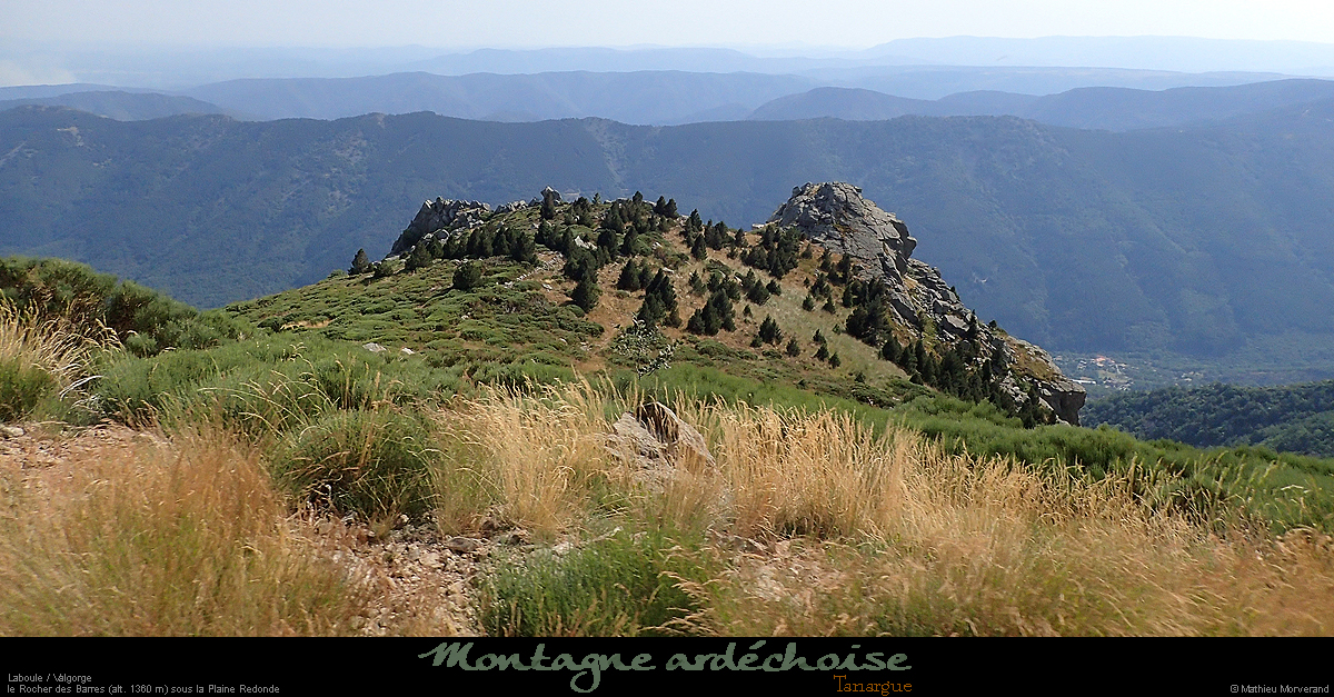 20190806_111