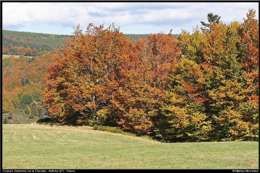 20051009_colchavade