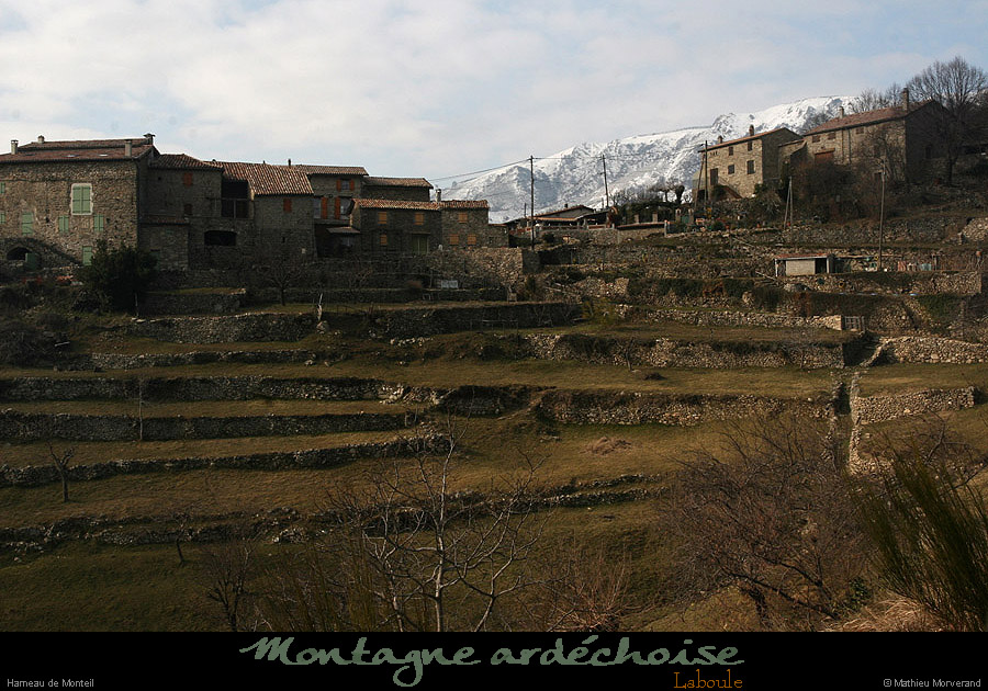 20100213_lemonteilparlese2