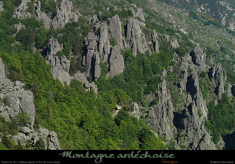 20150518_ronchaledederoncouloulude1