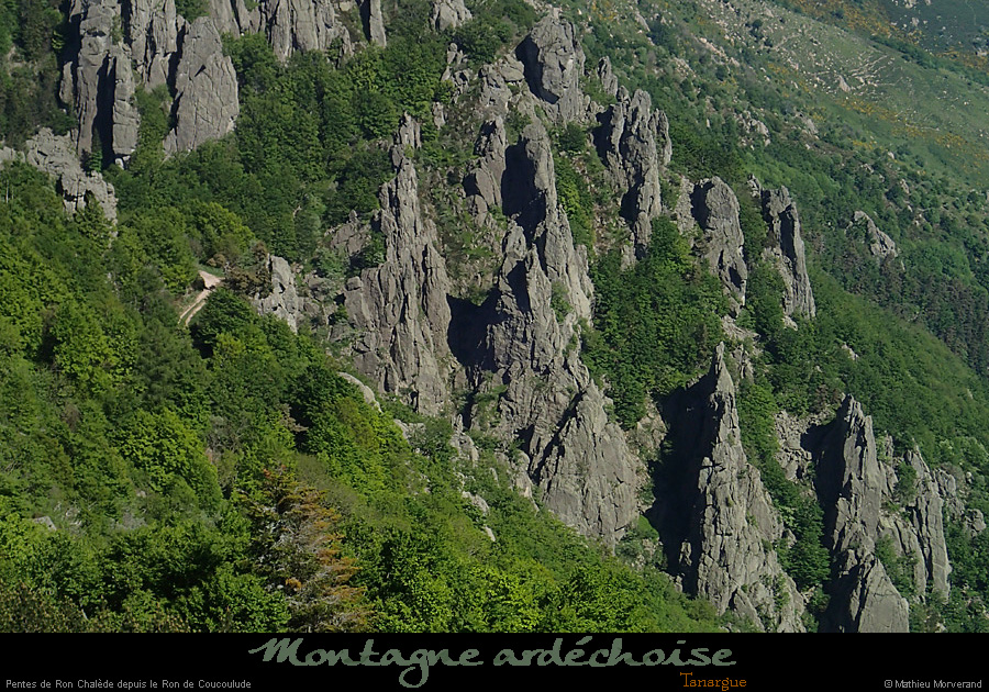 20150518_ronchaledederoncouloulude3
