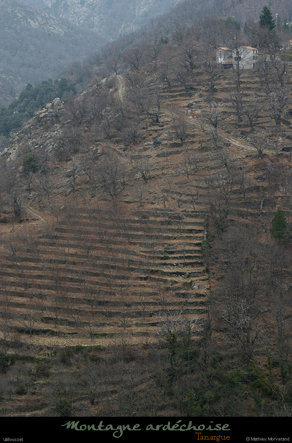 20100213_valoussetparlesud2