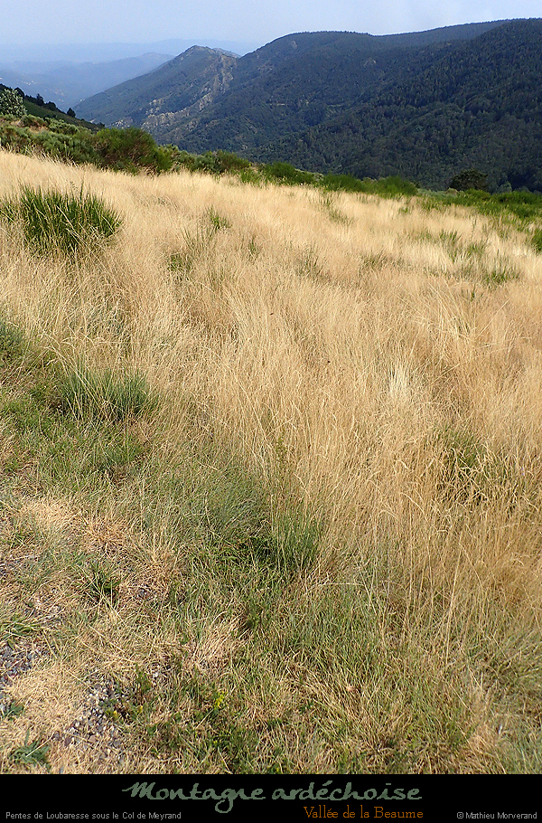 20190806_070
