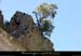 20010805_htebeaume_36