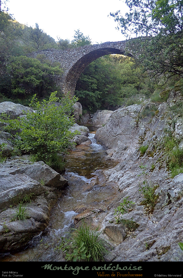20200524_51