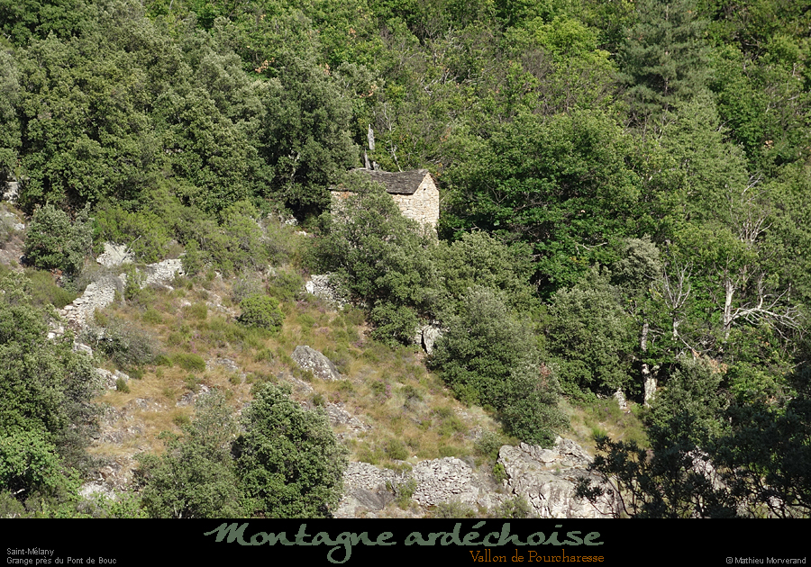 20200725_pourcharessegredeboucav2