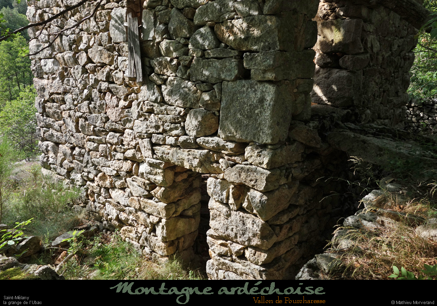 20200725_pourcharessegrgeubac8