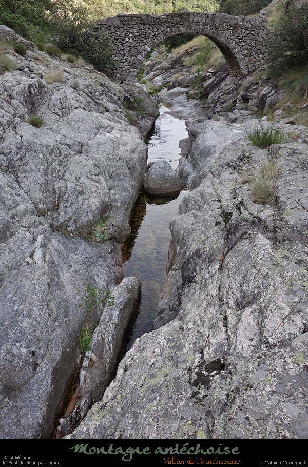 20200725_pourcharesseptdebouc02