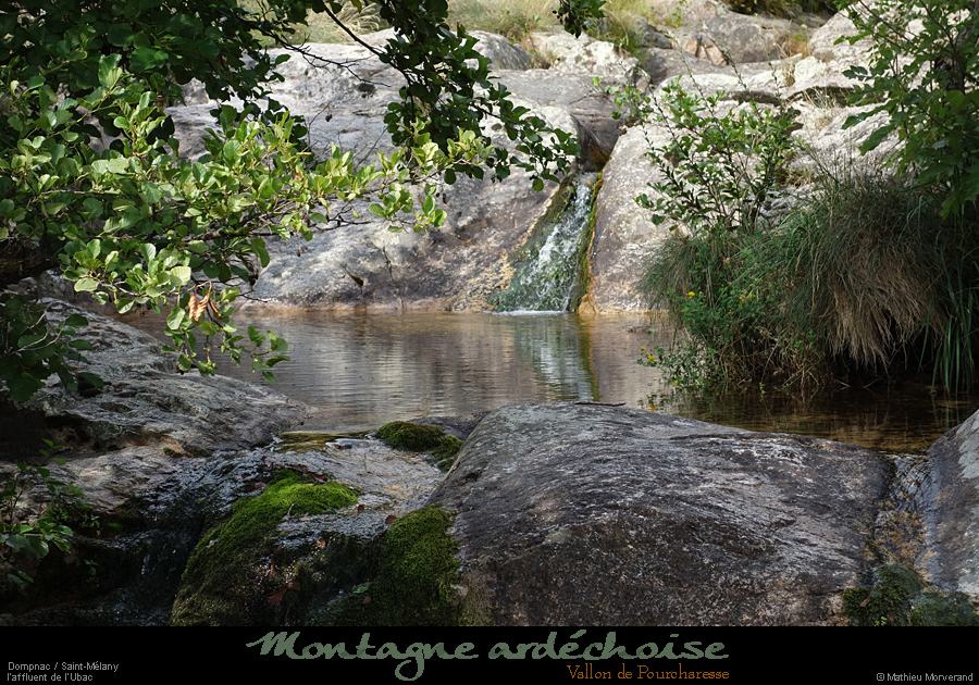 20200725_pourcharesseubac1