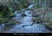 20031229_ravindecornis_haut_6