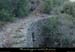 20031229_ravindecornis_sentier_6