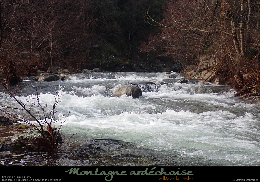 20201222_049