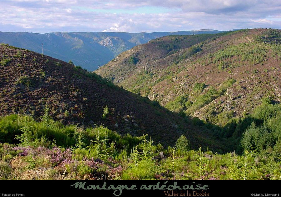 20001001_tanarguedepeyre