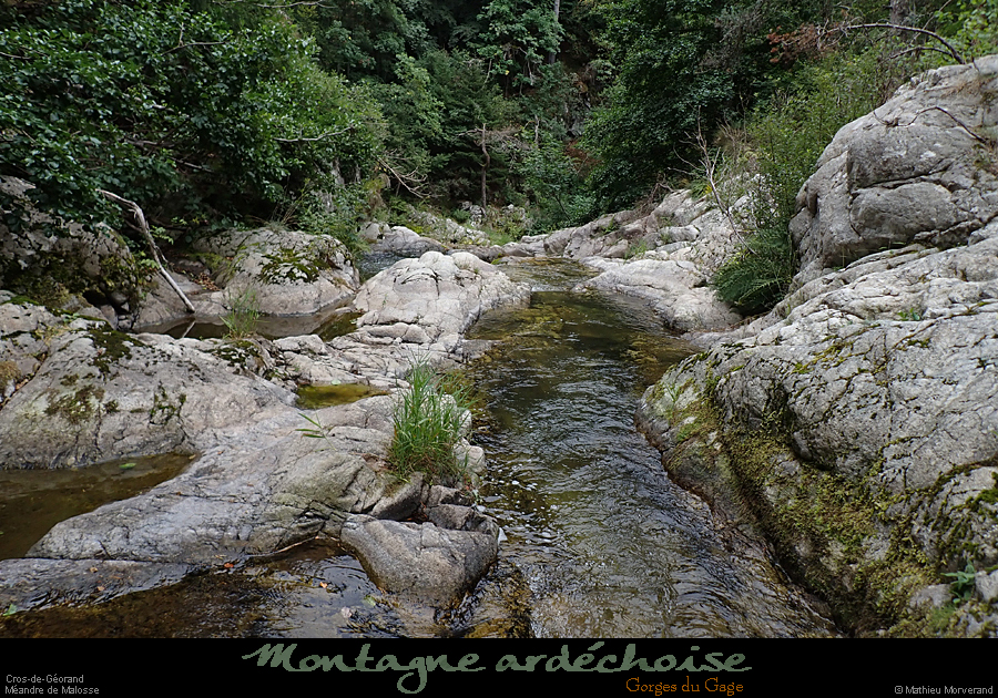 20260814g184