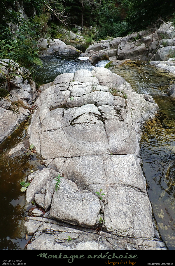 20260814g186