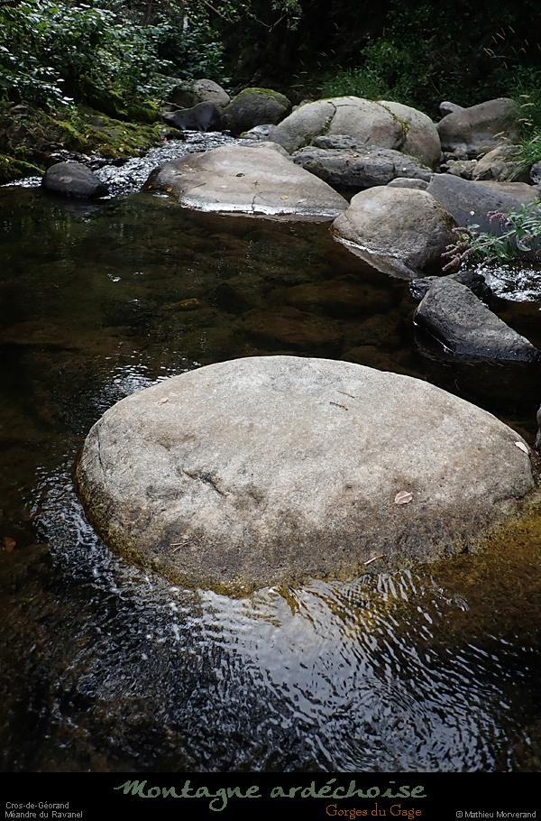 20260814g218