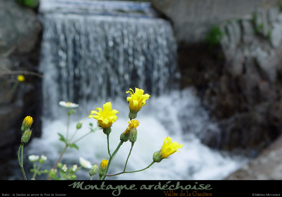 20030511_gagniereaupontdesabrets_2