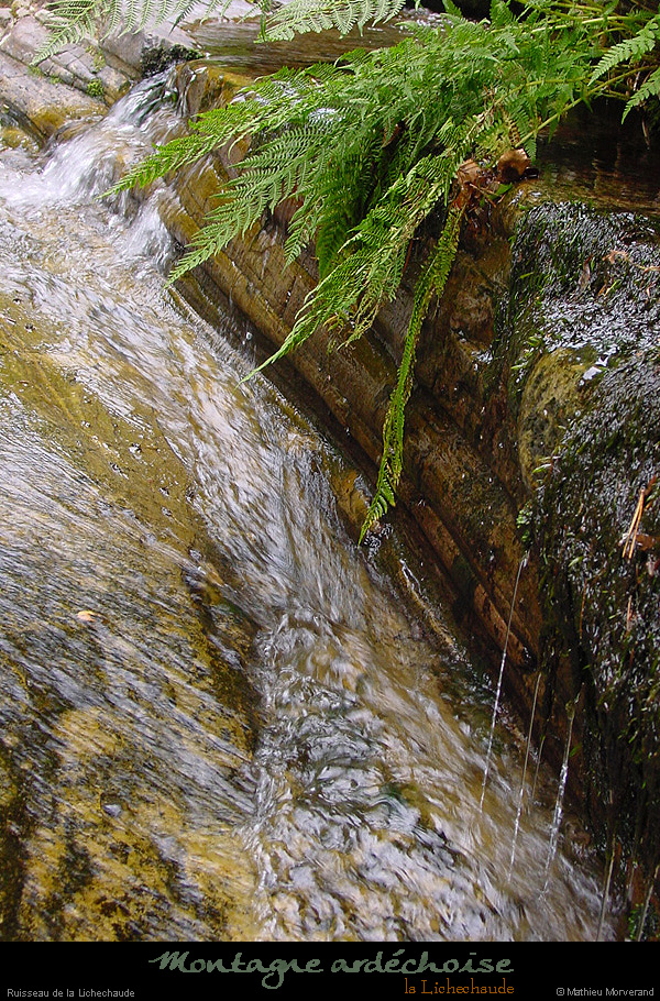 20030809_rivieredelichechaude_08