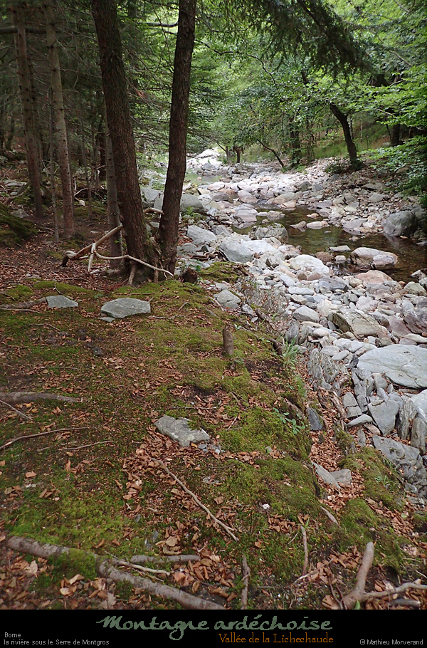 20170810_202