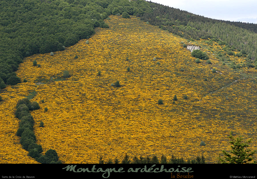 20120608_lasouche_serredelacrxdebauzon1